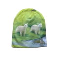 meadow.exe Beanie