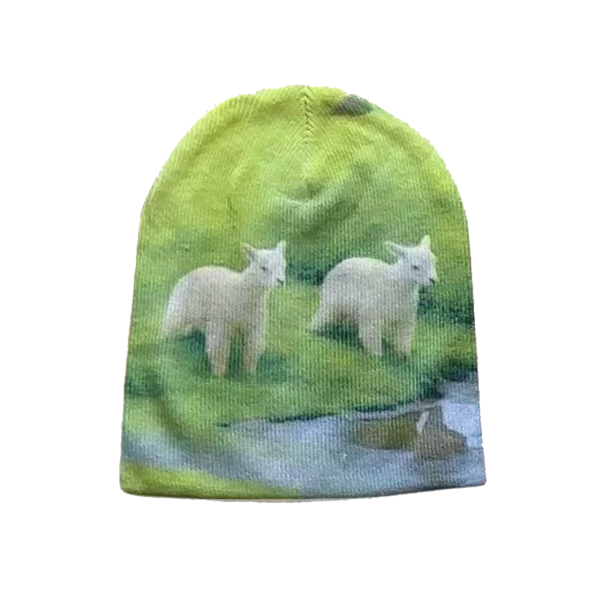 meadow.exe Beanie